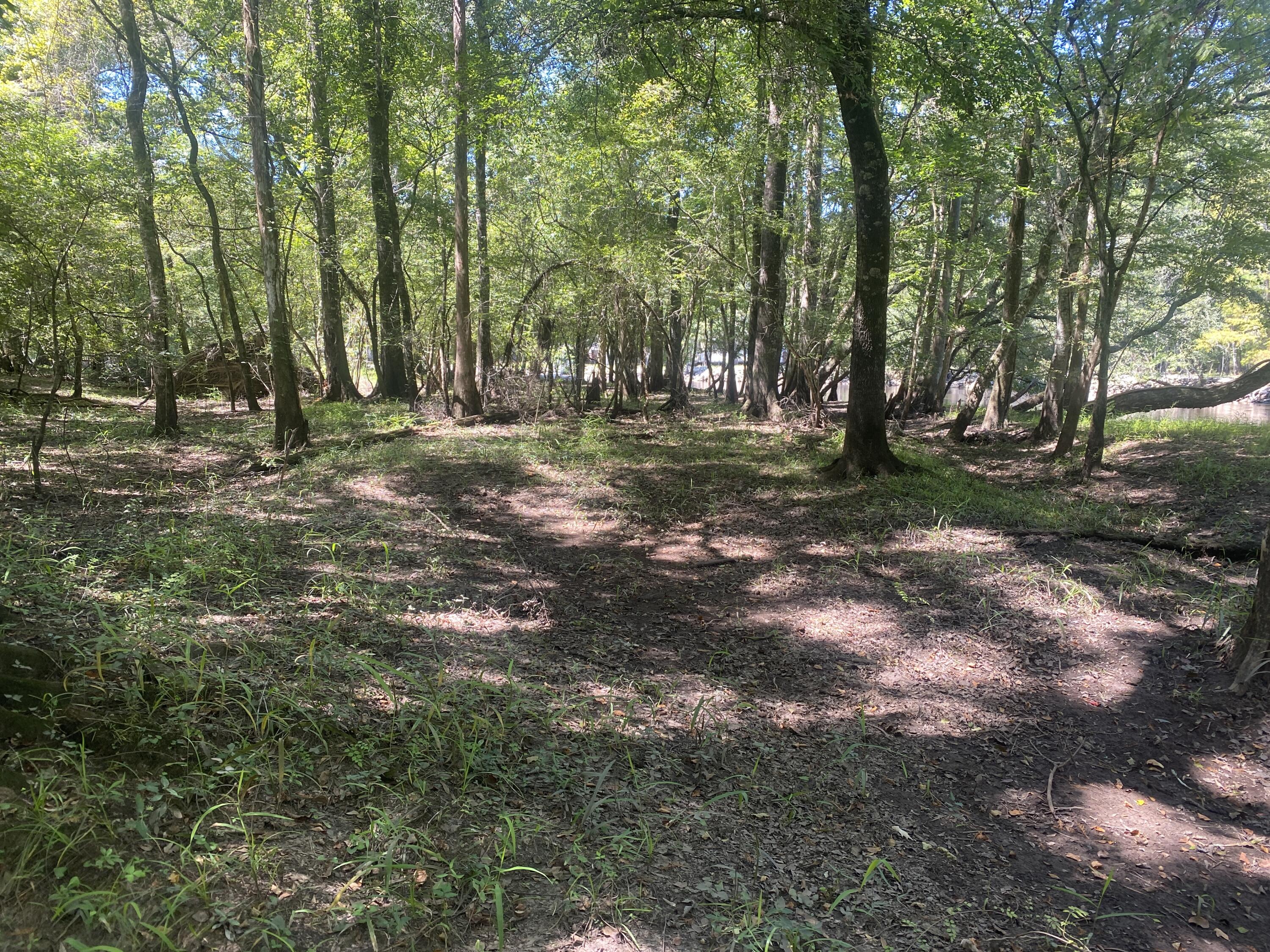 0 Hobbie Lane Round O, SC 29474 - Photo 6 of 35 0 Hobbie Lane (6)