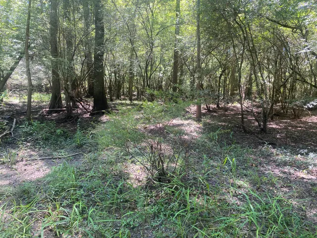 $350,000 | 0 Hobbie Lane, Round O, SC 29474