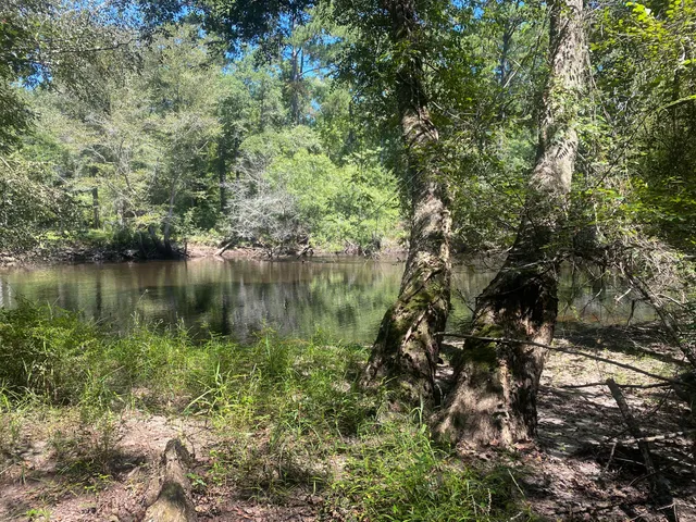 $350,000 | 0 Hobbie Lane, Round O, SC 29474