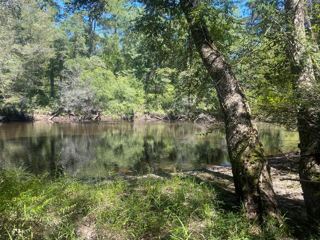 $350,000 | 0 Hobbie Lane, Round O, SC 29474