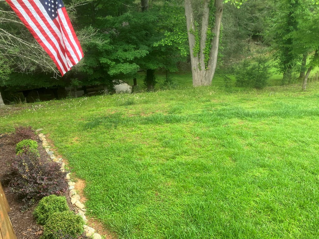86 Point Overlook Trail Murphy, NC 28906 - Photo 26 of 36 Front yard