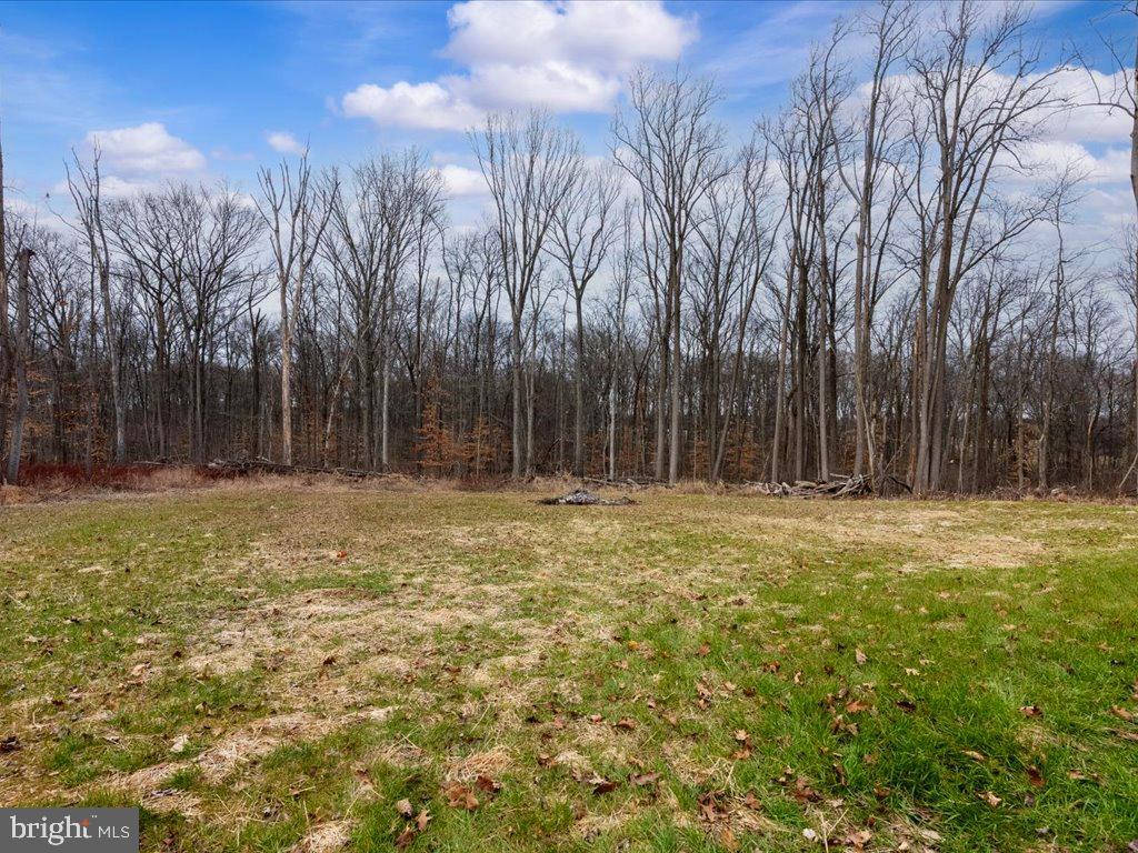533 Mt Zoar Road Conowingo, MD 21918 - Photo 7 of 11