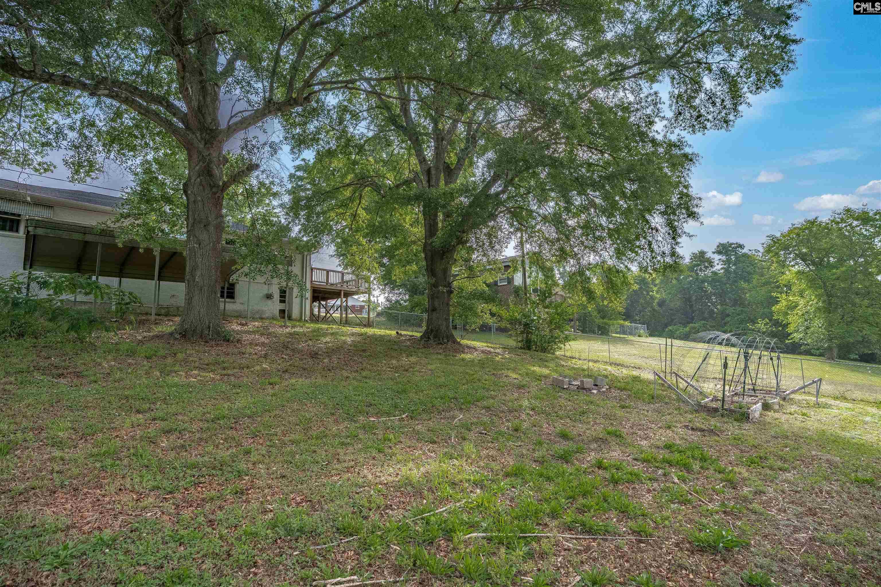 220 Nance Street Whitmire, SC 29178 - Photo 38 of 44