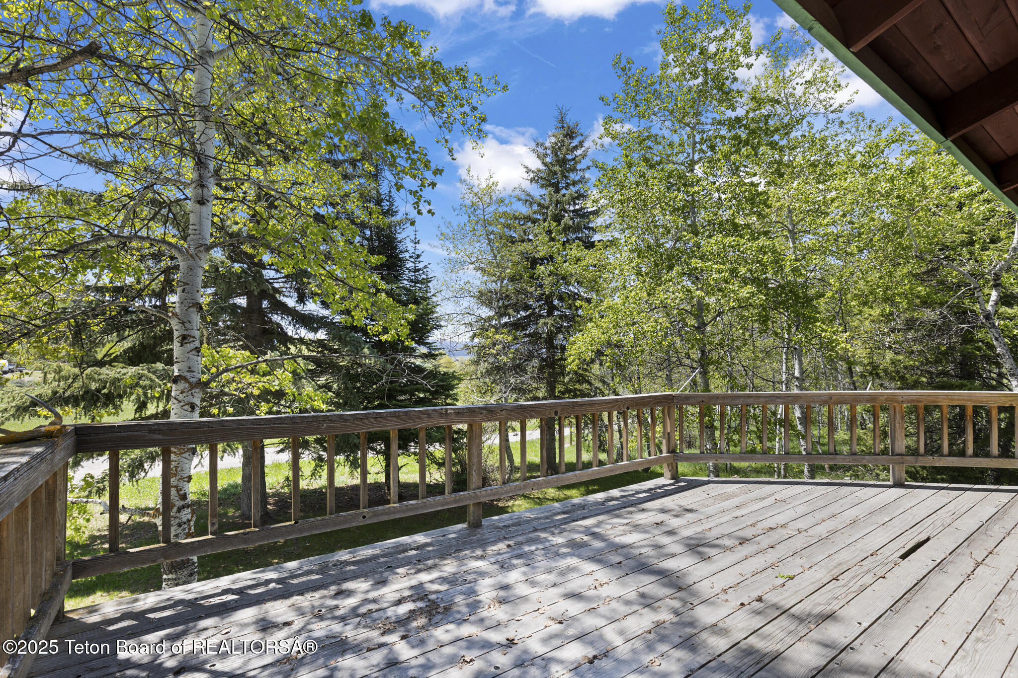 2883 Stewart Trl Road Etna, WY 83118 - Photo 22 of 30 6V2A5418