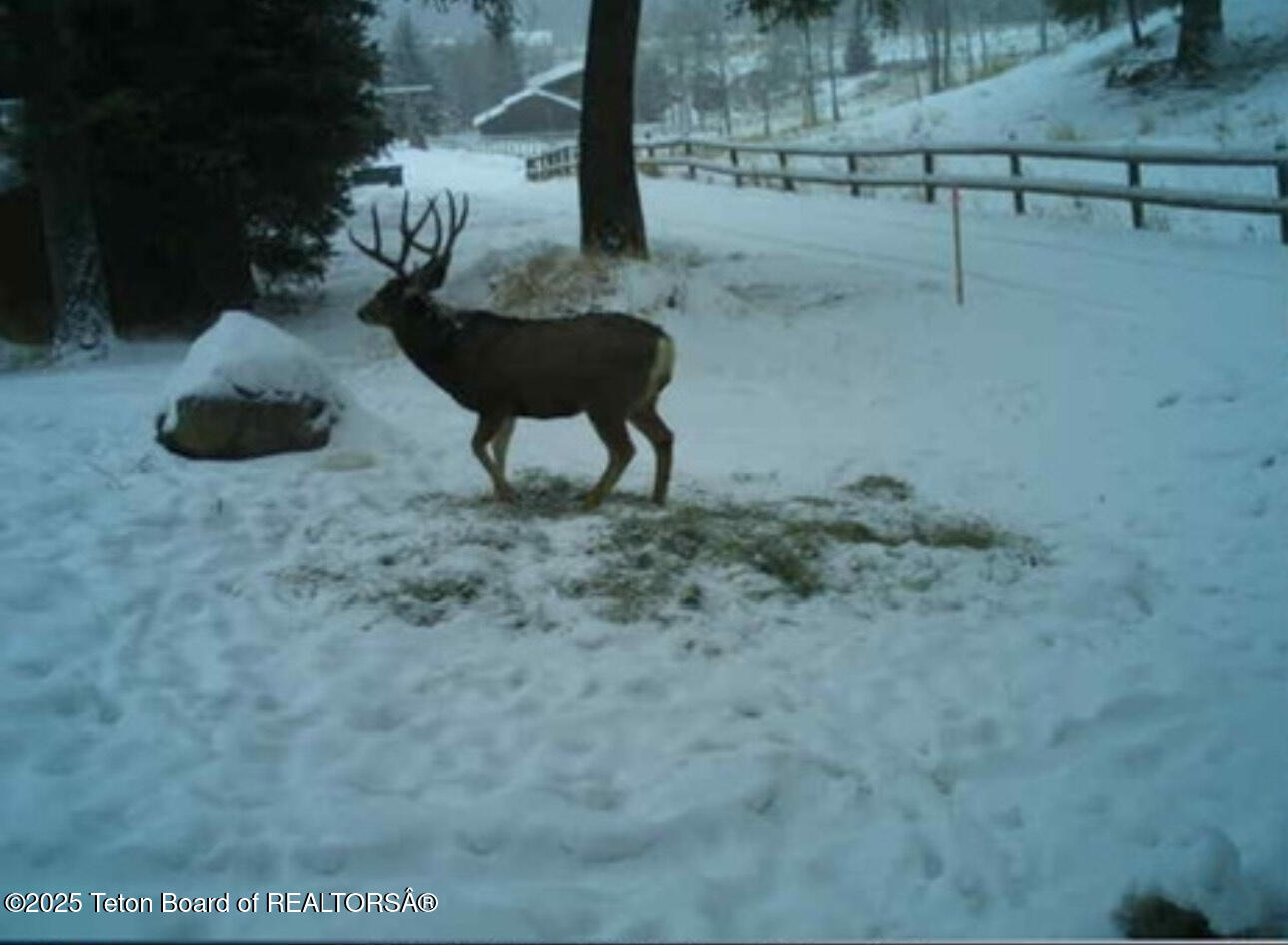 2883 Stewart Trl Road Etna, WY 83118 - Photo 25 of 30 IMG_5509
