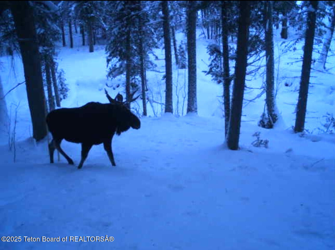 2883 Stewart Trl Road Etna, WY 83118 - Photo 26 of 30 IMG_5507