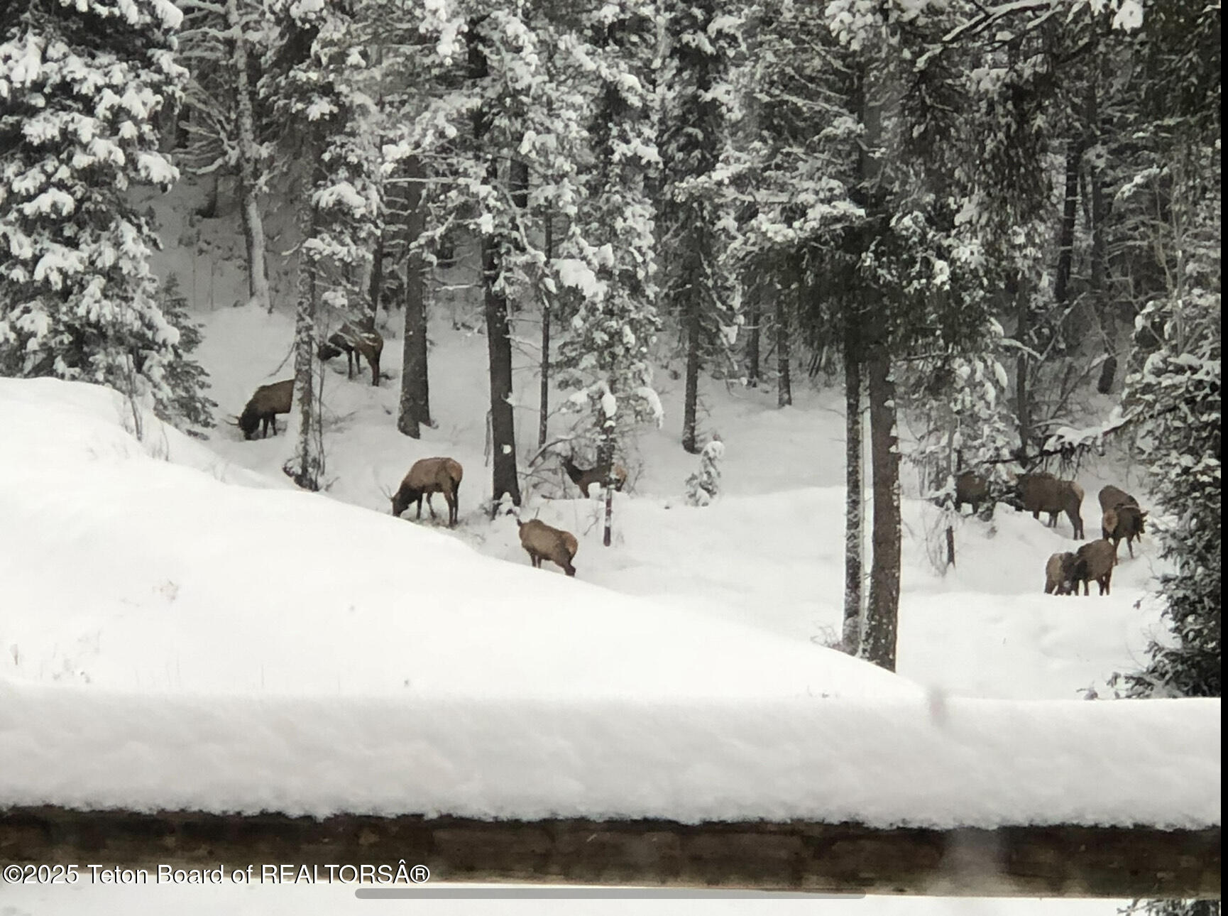 2883 Stewart Trl Road Etna, WY 83118 - Photo 27 of 30 IMG_5508
