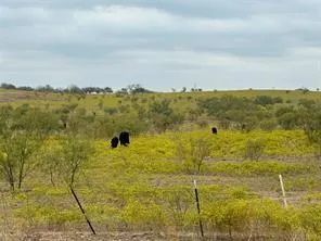 $2,583,000 | 2164 St Sanger Tx 76266, Sanger, TX 76266