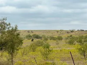 $2,583,000 | 2164 St Sanger Tx 76266, Sanger, TX 76266