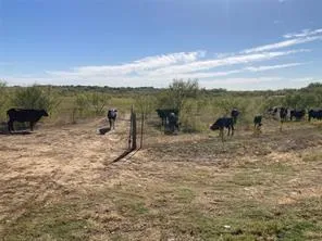 $2,583,000 | 2164 St Sanger Tx 76266, Sanger, TX 76266