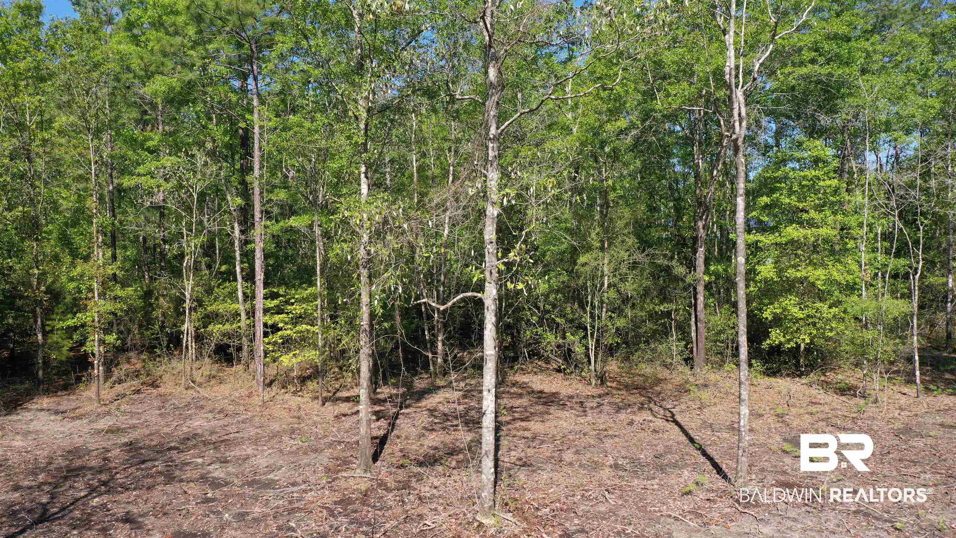 3 Brookwood Road Atmore, AL 36502 - Photo 10 of 15