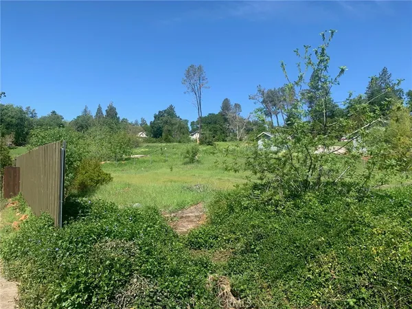 a view of a garden
