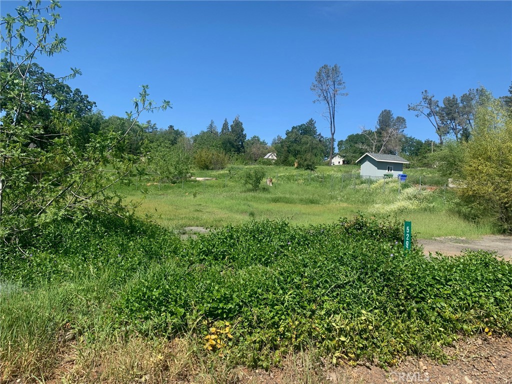 5295 Scottwood Road Paradise, CA 95969 - Photo 2 of 6 a view of a green field with lots of bushes