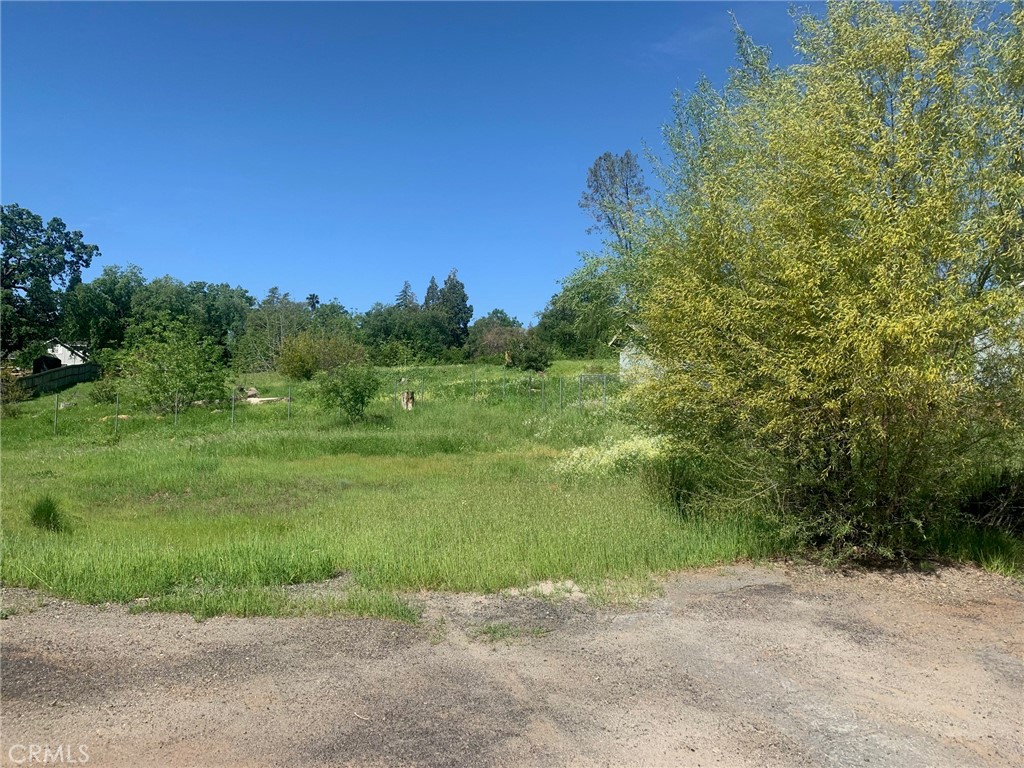 5295 Scottwood Road Paradise, CA 95969 - Photo 5 of 6 a view of a lake with a yard