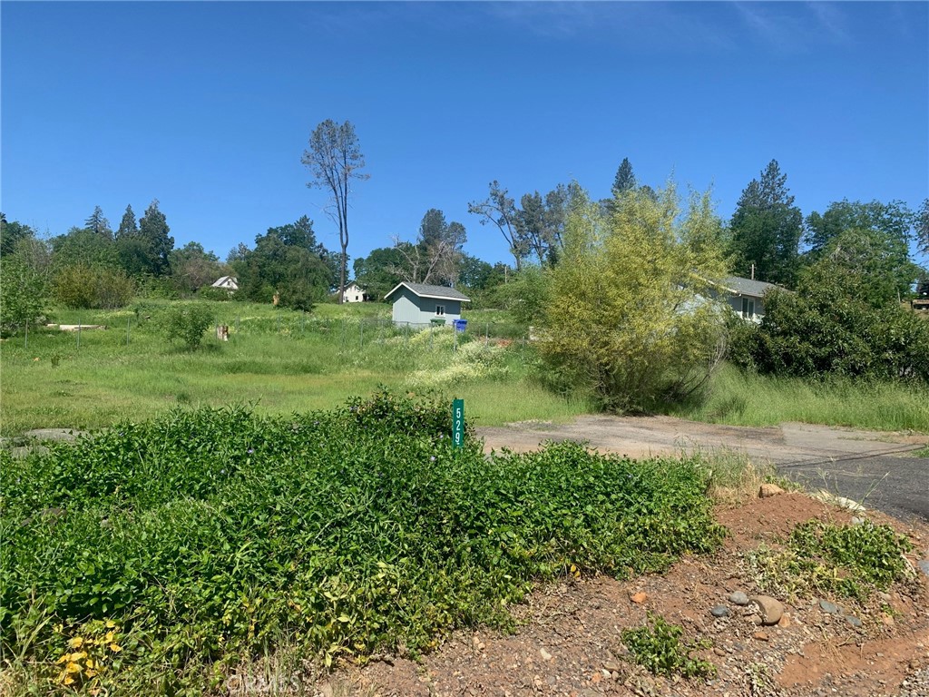5295 Scottwood Road Paradise, CA 95969 - Photo 6 of 6 a view of a backyard of a house