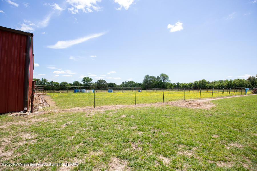1664 Baker Road Lake Cormorant, MS 38641 - Photo 82 of 87 Grazing pasture!
