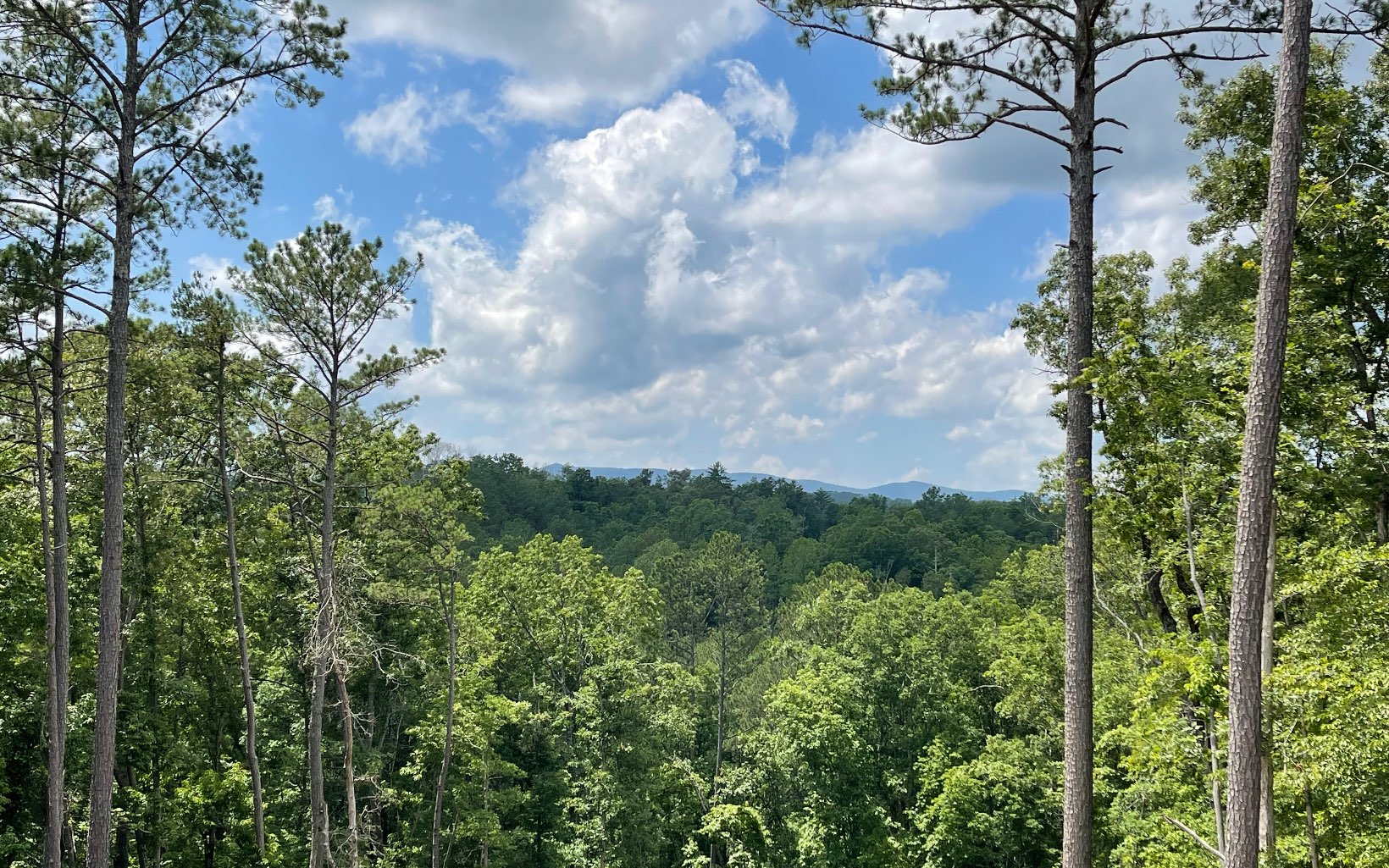 265 High River, Ellijay, GA 30540 Compass