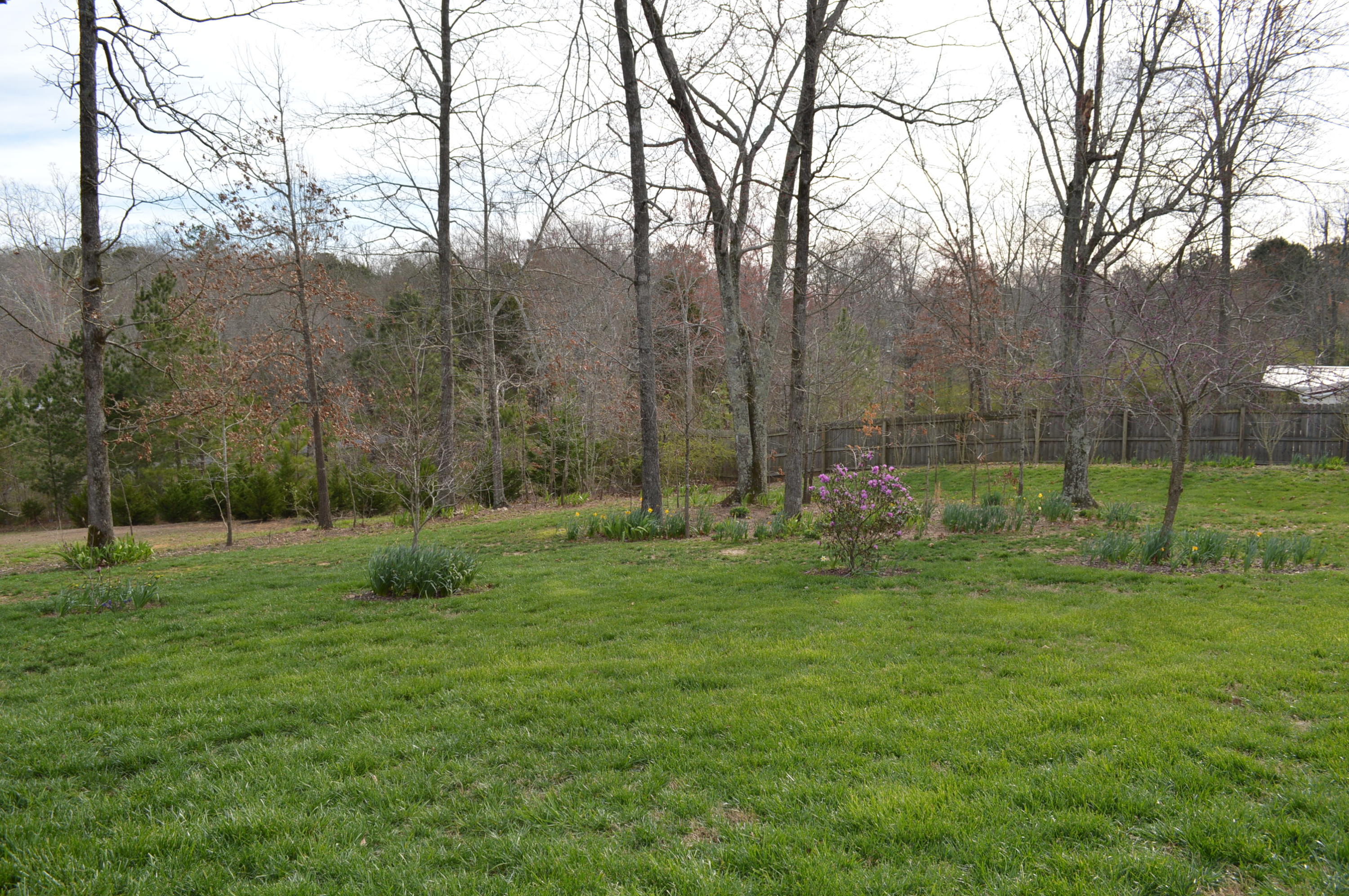 131 Pebble Ridge Drive Southeast Cleveland, TN 37323 - Photo 37 of 41 DSC_0007