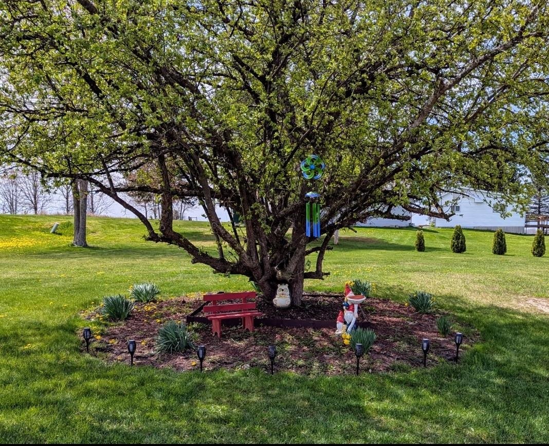 6395 East Beaverton Road Clare, MI 48617 - Photo 52 of 60