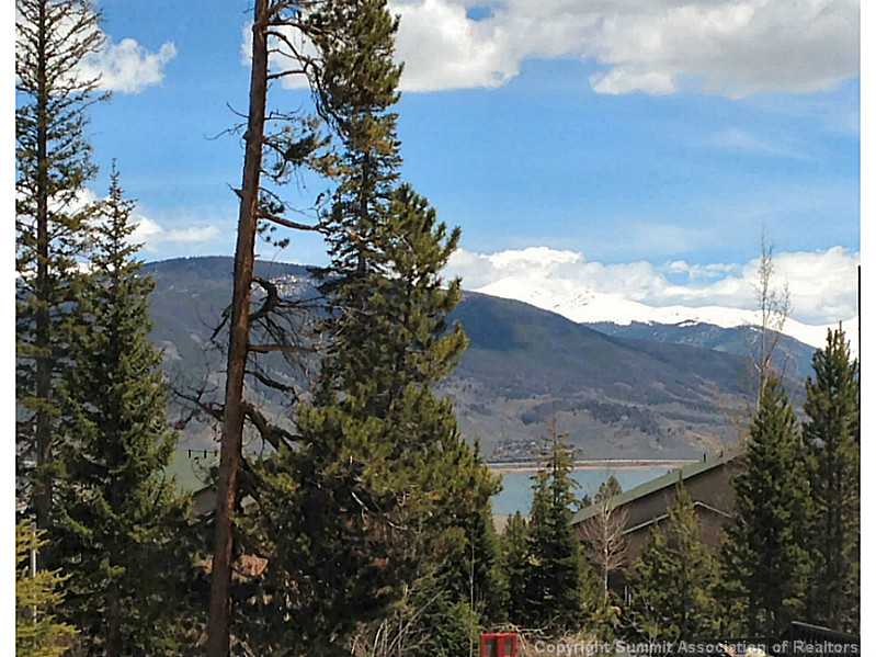 89310 Ryan Gulch Road, Unit 101 Silverthorne, CO 80498 - Photo 14 of 25 View.