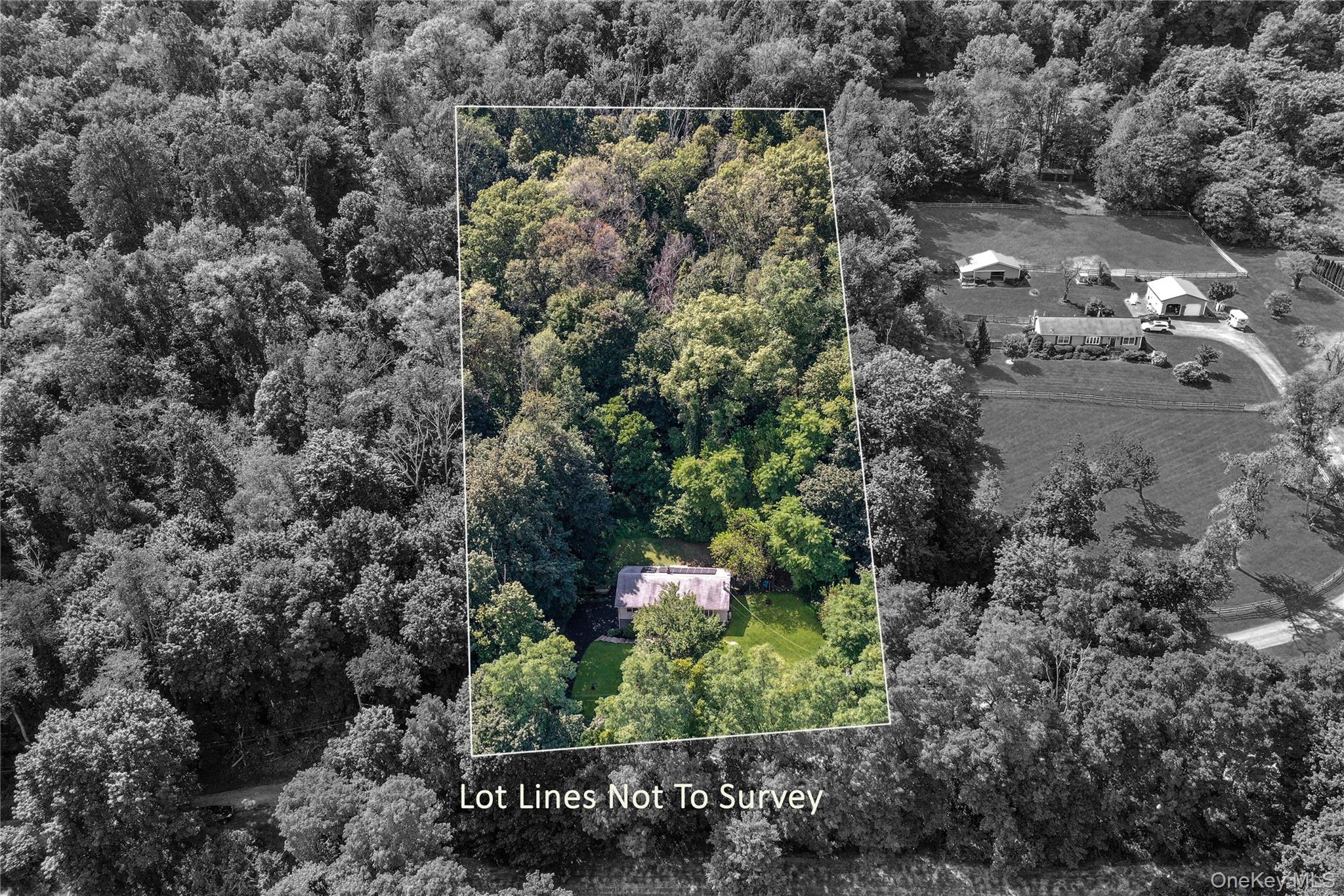 18 Stage Road Pine Island, NY 10969 - Photo 12 of 17 a view of a forest with a forest