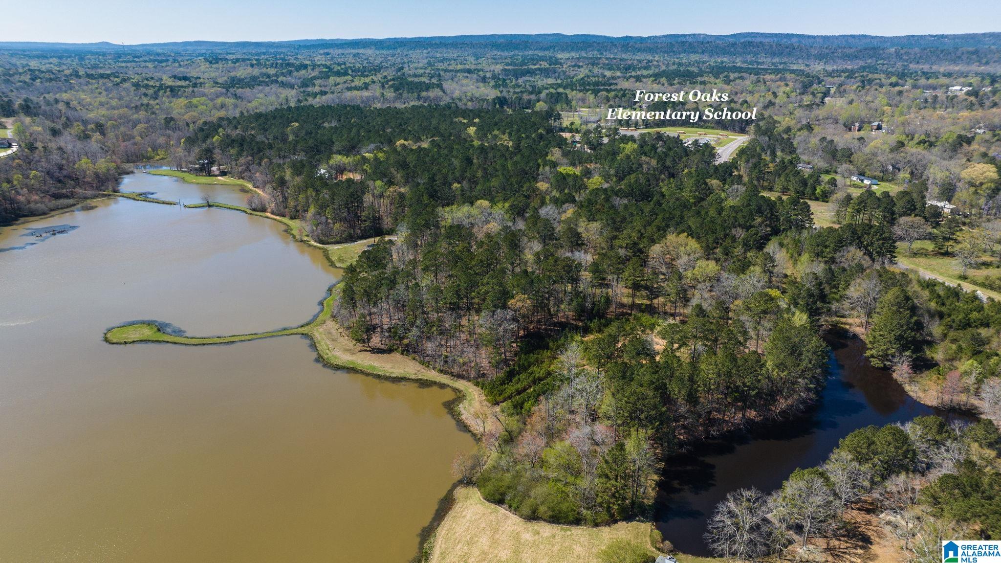 0 Beech Hollow, Unit 3 Chelsea, AL 35043 - Photo 3 of 11