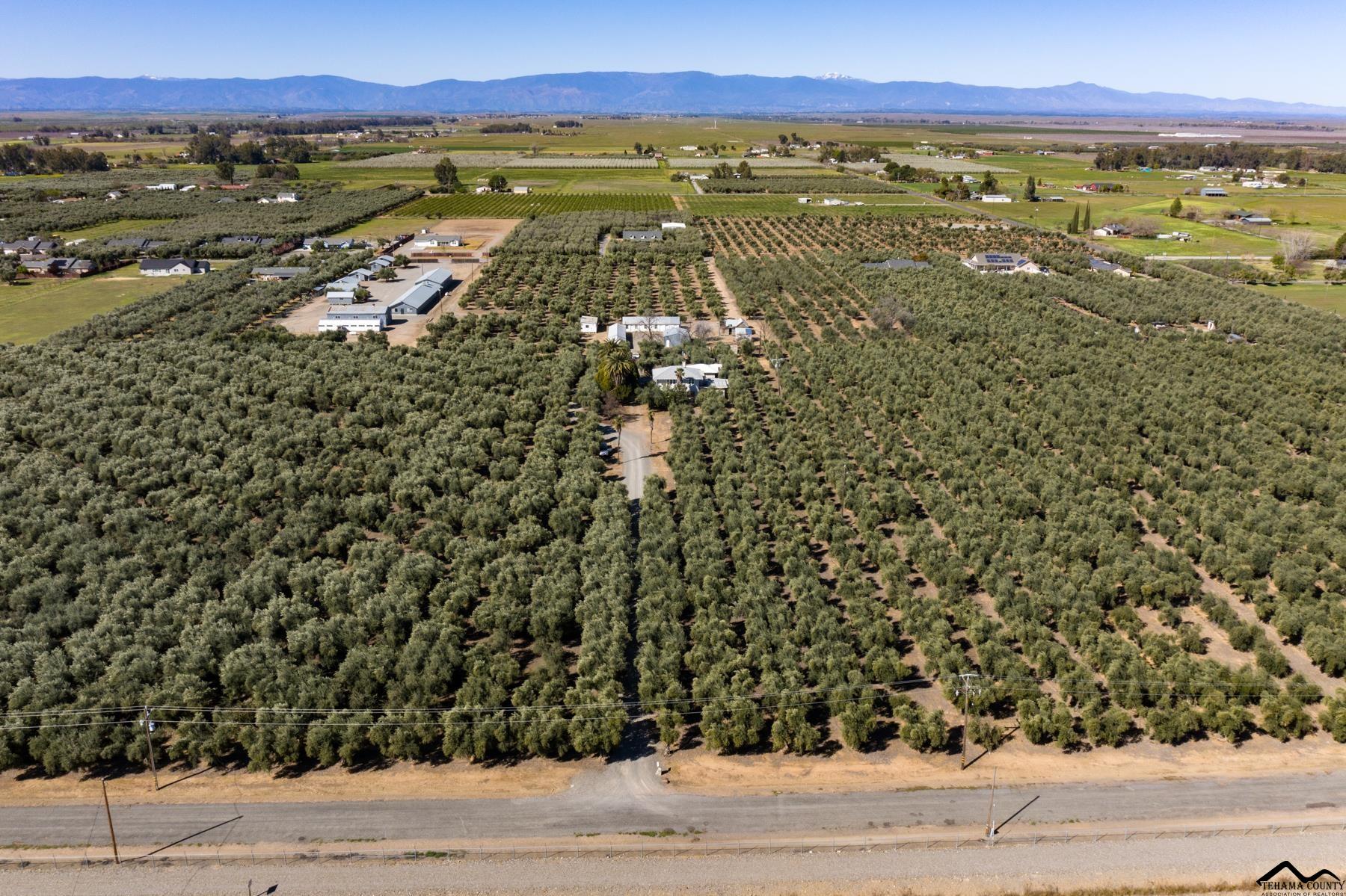 6315 Rawson Road Corning, CA 96021 - Photo 26 of 31