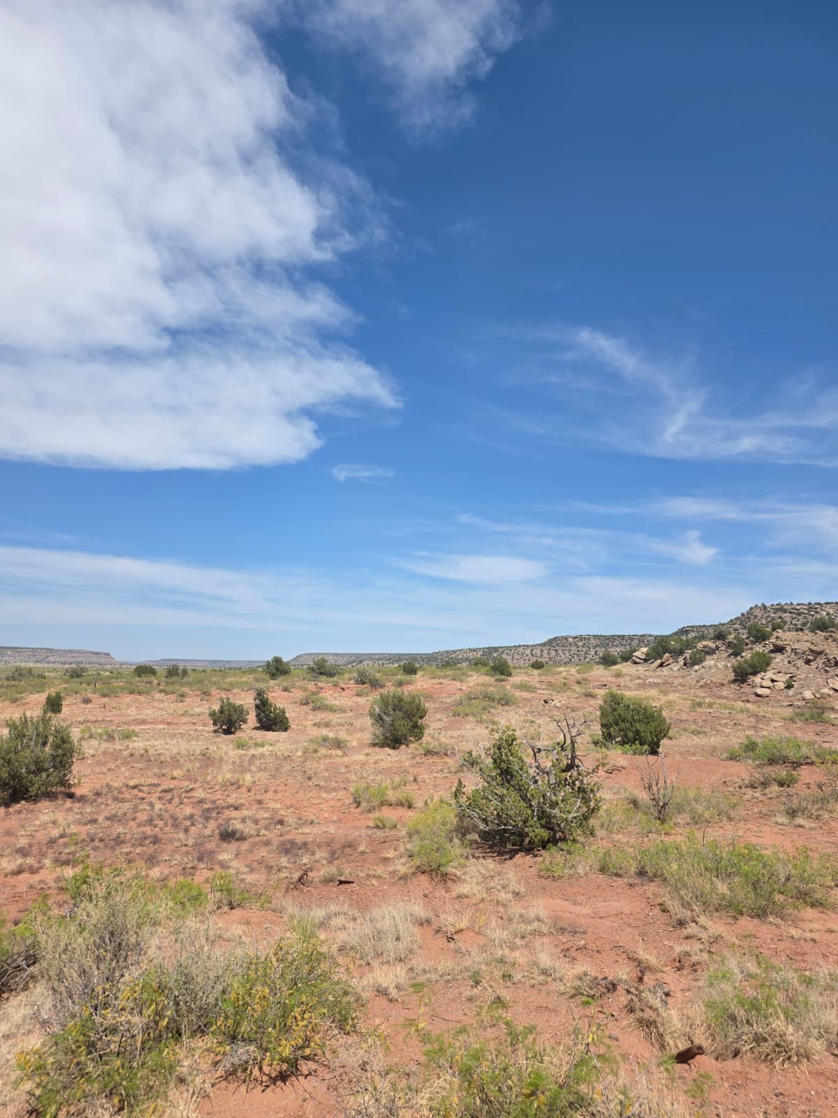 10 Rancho Lake Newkirk, NM 88431 - Photo 4 of 7