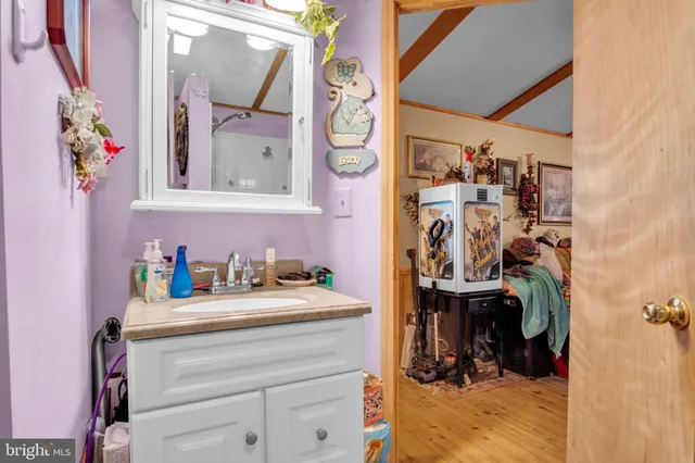 a bathroom with a sink mirror and vanity