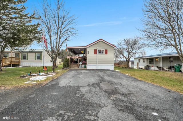 a view of a house with a yard and large tree