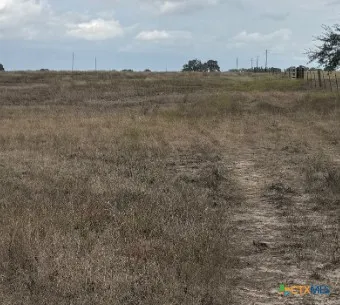 a view of dirt field with trees