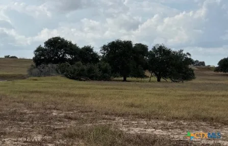 $1,650,000 | 4689 County Road 302, Runge, TX 78151