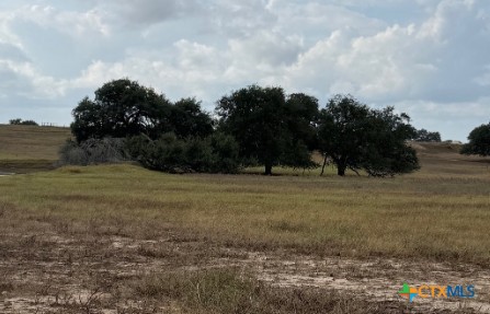 4689 County Road 302 Runge, TX 78151 - Photo 13 of 40 a view of dirt field with trees