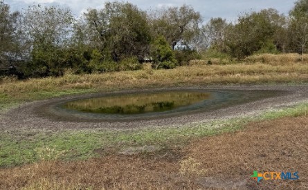 4689 County Road 302 Runge, TX 78151 - Photo 14 of 40 a view of a yard with a tree