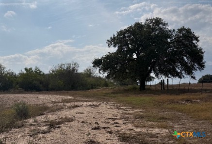 4689 County Road 302 Runge, TX 78151 - Photo 15 of 40 a view of a tree with a yard