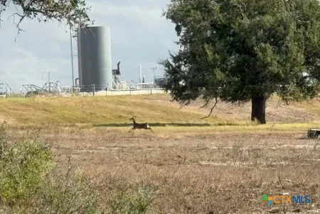 a view of an ocean beach