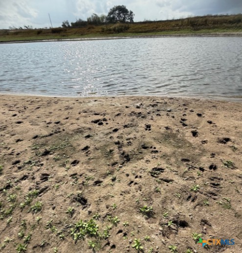 4689 County Road 302 Runge, TX 78151 - Photo 21 of 40 a view of a lake view