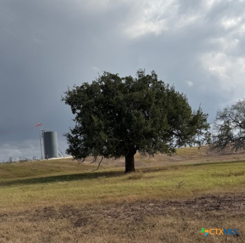 4689 County Road 302 Runge, TX 78151 - Photo 22 of 40 a view of outdoor space with mountain in background