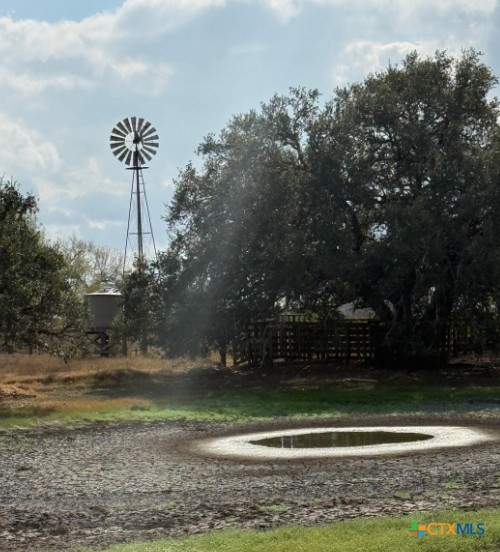 4689 County Road 302 Runge, TX 78151 - Photo 24 of 40 a view of a yard