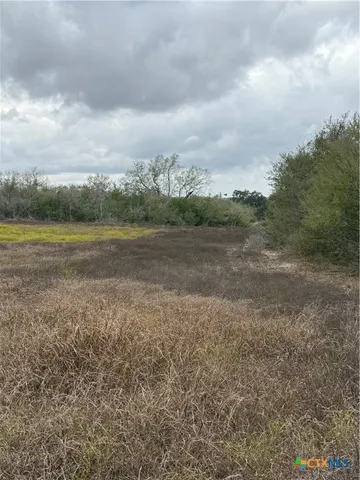 a view of a dry yard with wooden fence