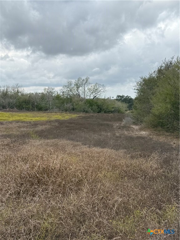 4689 County Road 302 Runge, TX 78151 - Photo 37 of 40 a view of an outdoor space with mountain view