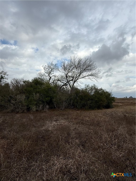 4689 County Road 302 Runge, TX 78151 - Photo 38 of 40 a view of a big yard with lots of bushes
