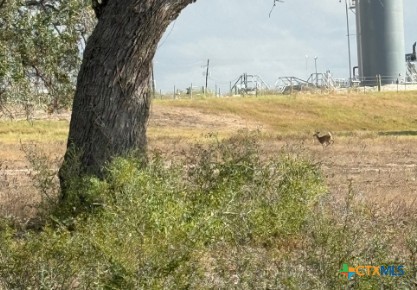 4689 County Road 302 Runge, TX 78151 - Photo 4 of 40 a view of an ocean