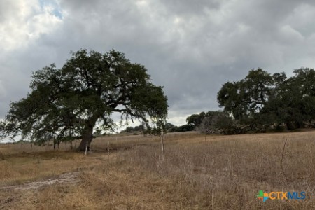 4689 County Road 302 Runge, TX 78151 - Photo 5 of 40 a view of outdoor space and yard