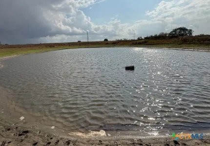 a view of a dry yard