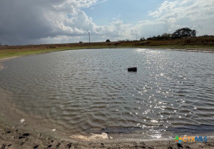 4689 County Road 302 Runge, TX 78151 - Photo 6 of 40