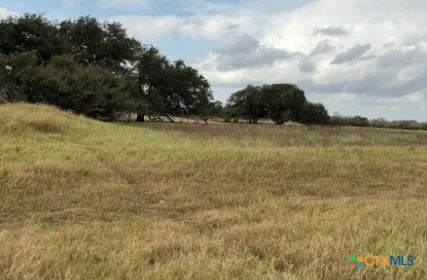 a view of a dry yard with trees