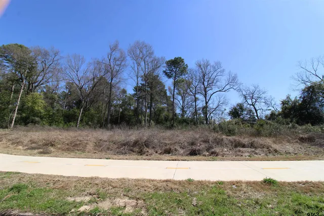 $95,000 | 1102 South Peach Avenue, Tyler, TX 75701