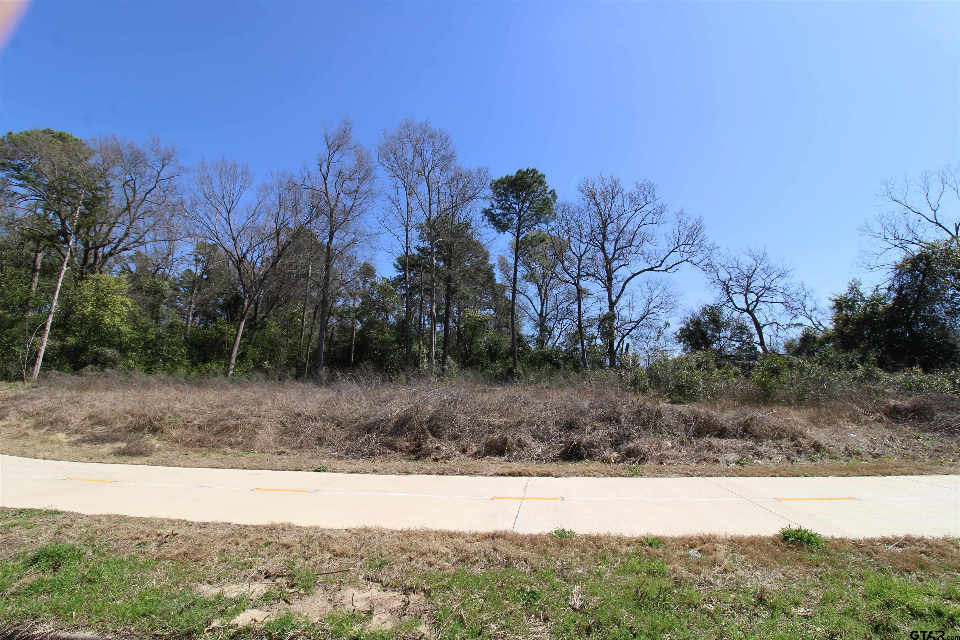 1102 South Peach Avenue Tyler, TX 75701 - Photo 2 of 8