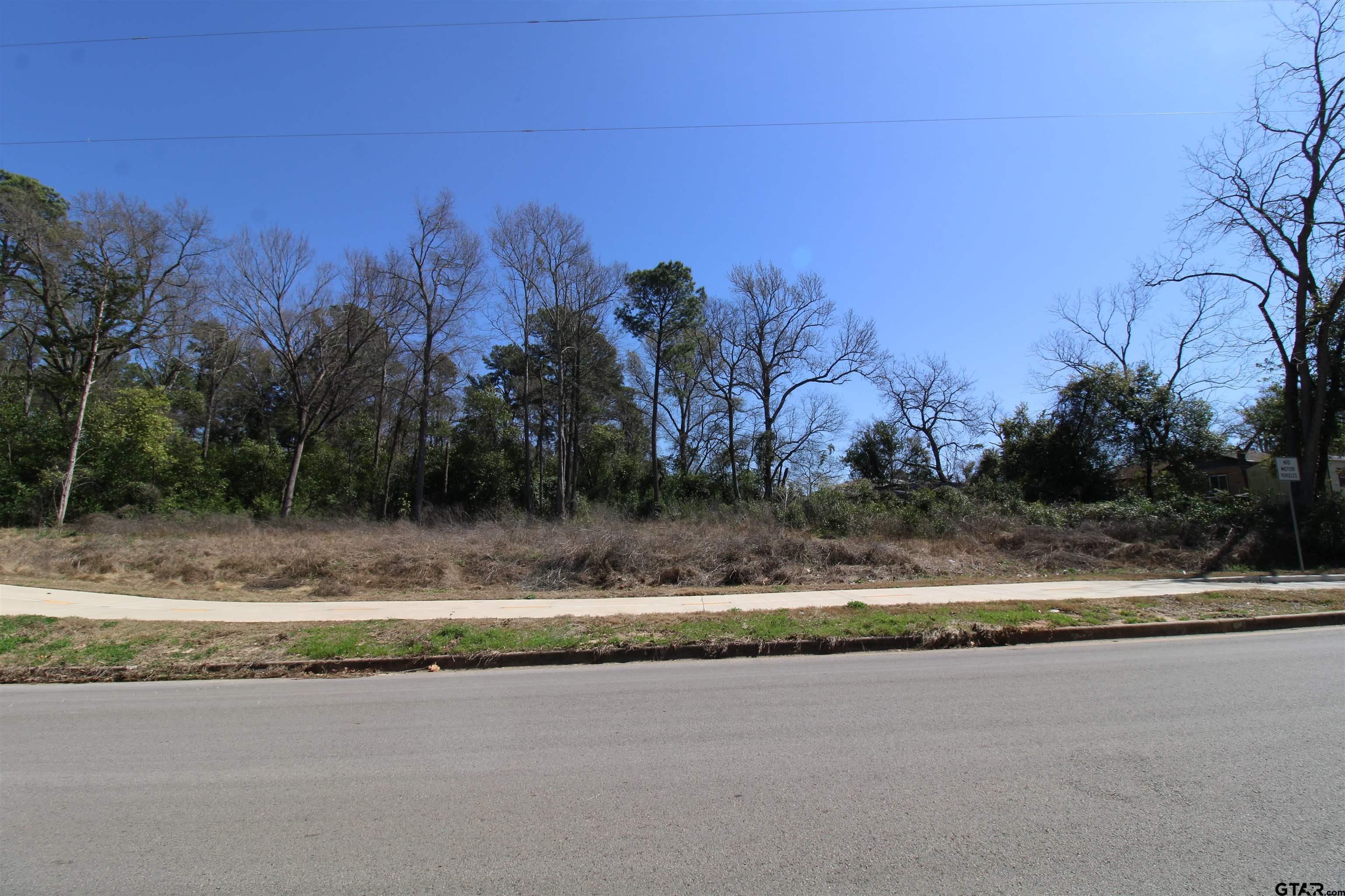 1102 South Peach Avenue Tyler, TX 75701 - Photo 3 of 8